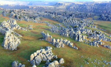 4 Day Bale Mountains National Park Trekking Adventure: An Endemic Wildlife Expedition